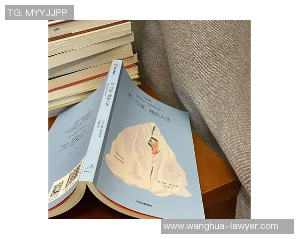 西悉流浪与墨雄心的对决：探索梦想与现实的交汇点