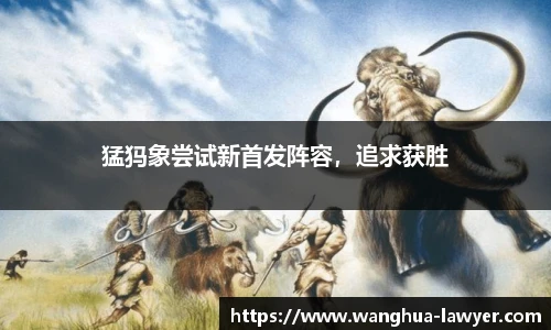 CSGO投注网站